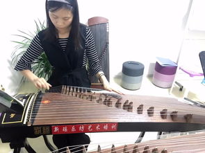 從劉家窯到宋家莊 古箏藝術培訓的傳承與創新
